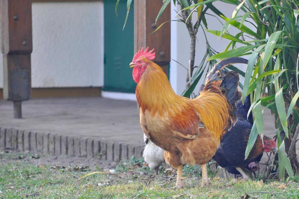 Beautiful Farm Boutique Homestay Chacra La Ch Chascomús Exterior foto