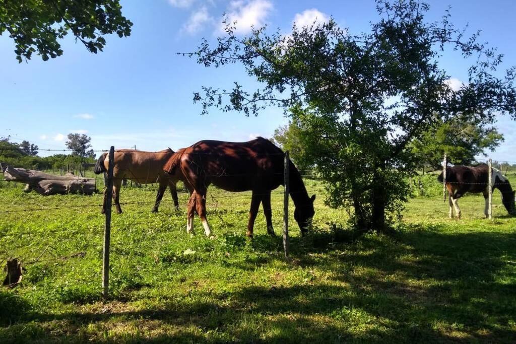Beautiful Farm Boutique Homestay Chacra La Ch Chascomús Exterior foto